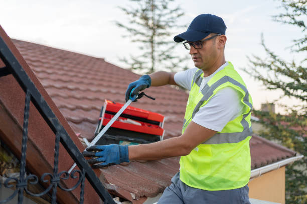 Best Spray Foam Insulation  in The Hills, TX